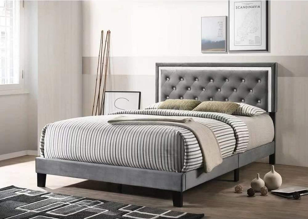Infiniti Upholstered Queen Bed Collection